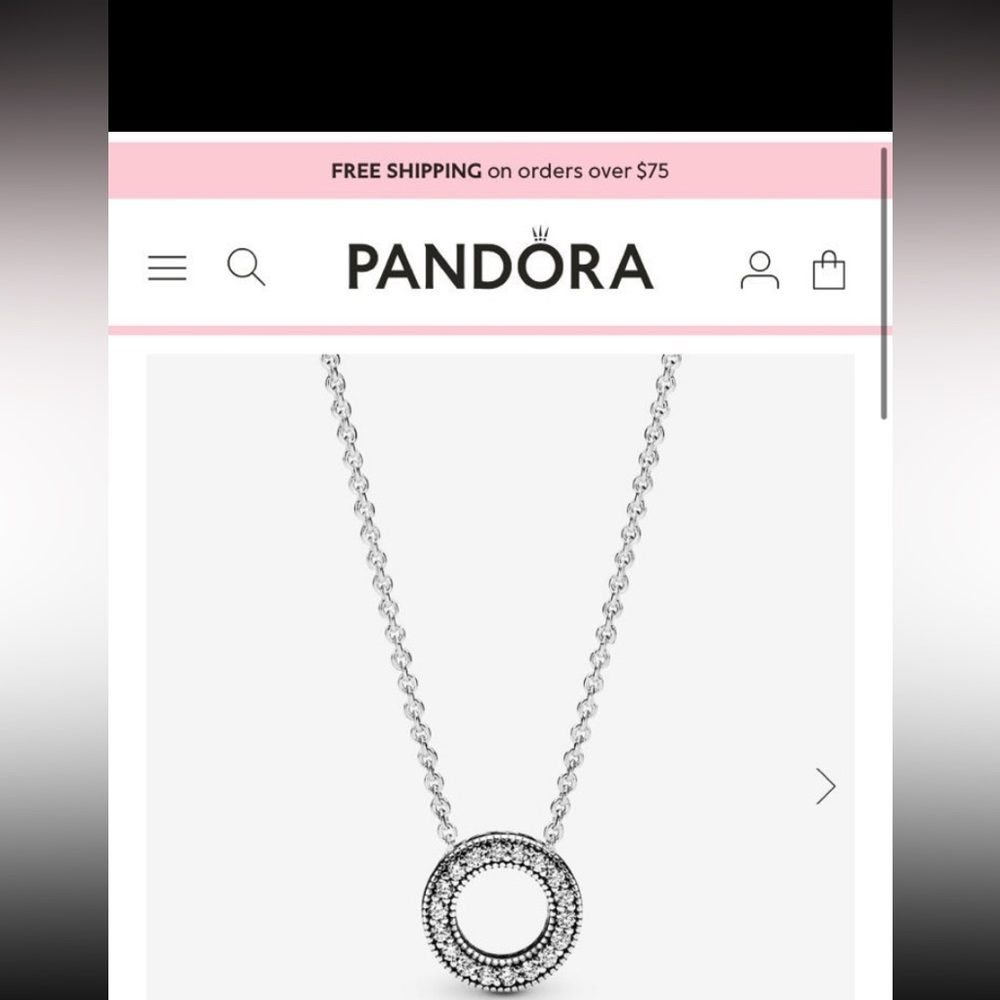 Pandora necklace